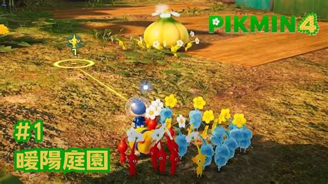 皮克敏 繡球花|【新人指南】四大必讀Pikmin Bloom攻略，特殊精華/飾品怎麽拿